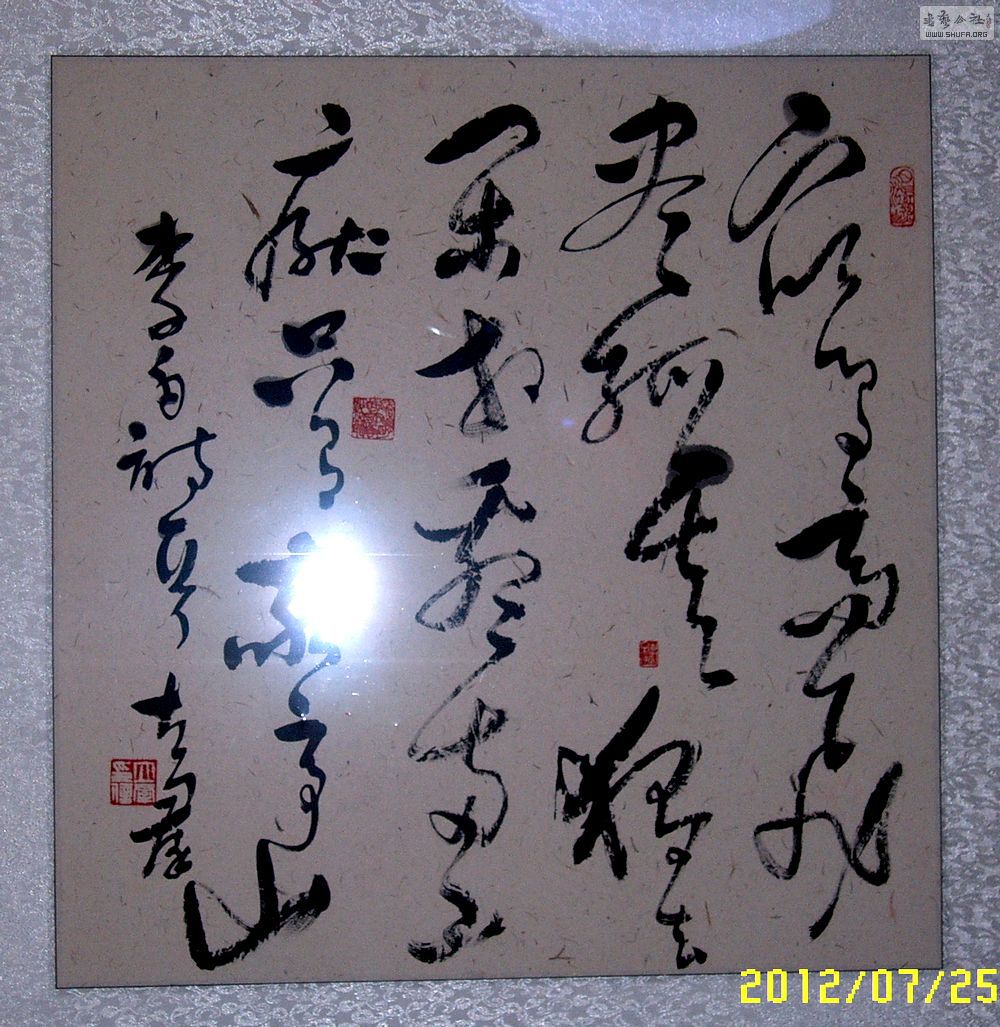 SUC53312.JPG
