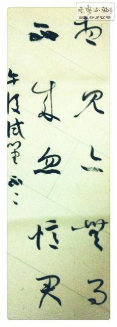 Ƭ(08-08-11-38-50).JPG