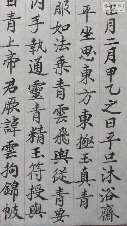 DSC07830b.jpg