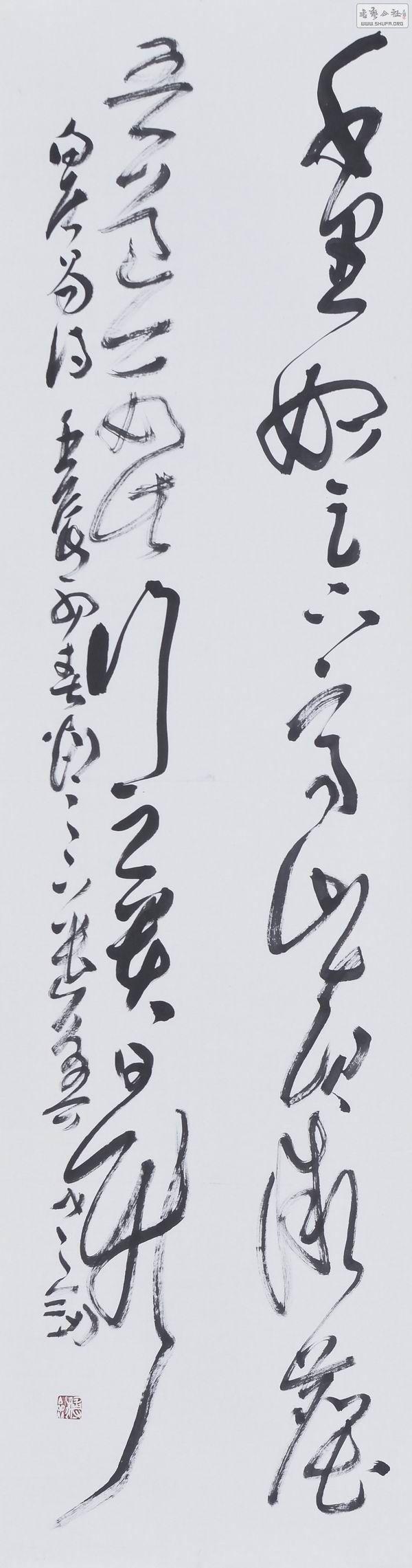 224.jpg
