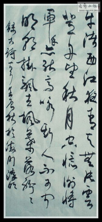 STP61892_.jpg