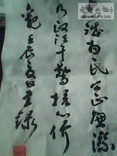 IMG0359A.jpg