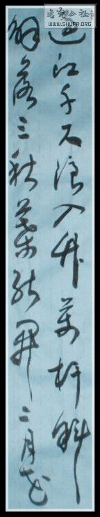 STP61896_.jpg