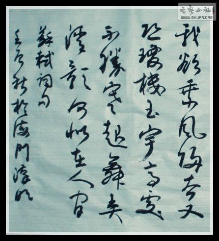 STP61910_.jpg