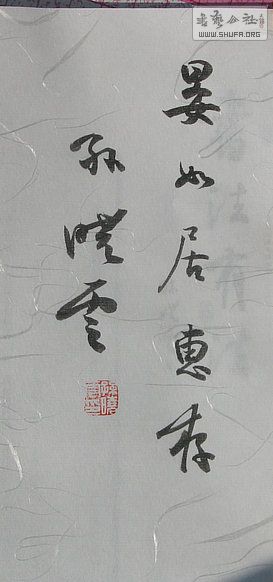 Ƭ 7729.jpg