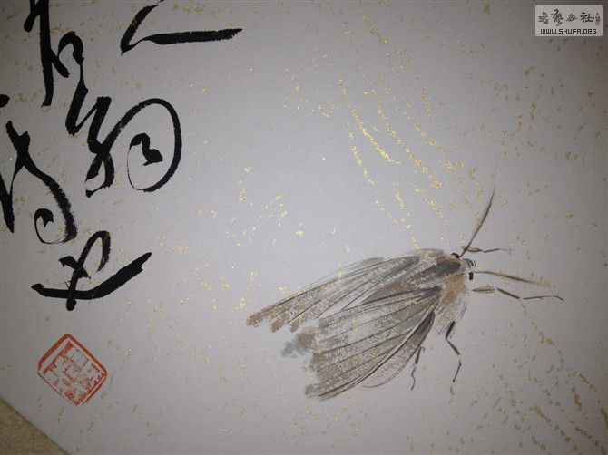 ޿桤ֲ.jpg
