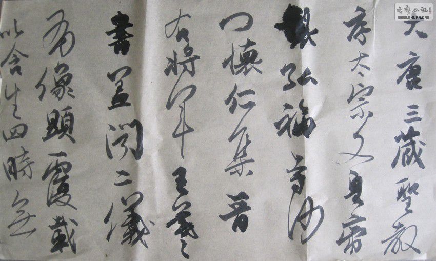 ŵ¸3.JPG
