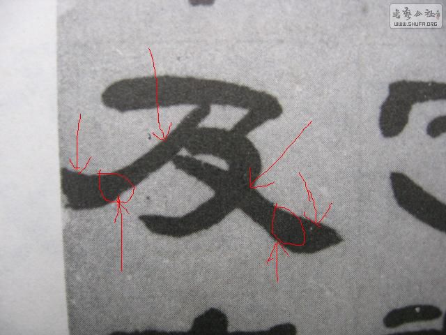 Ƭ 020.JPG