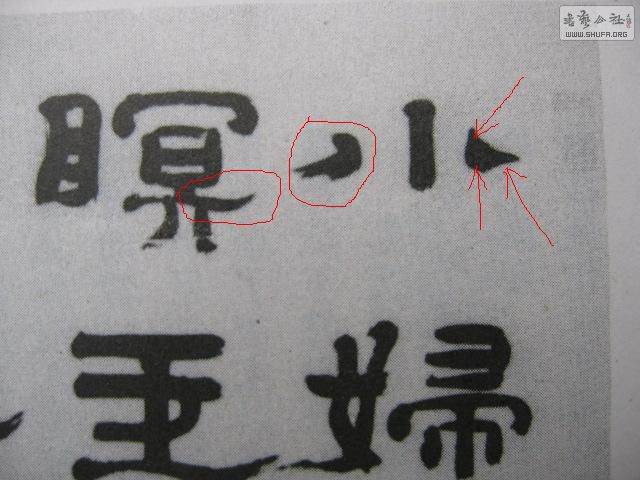 Ƭ 017.JPG