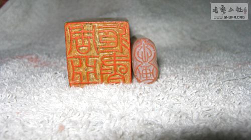 IMG_3620.jpg