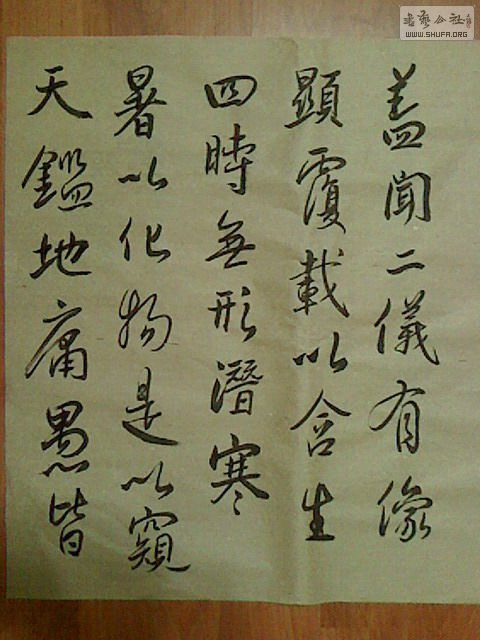 IMG0825003501.jpg