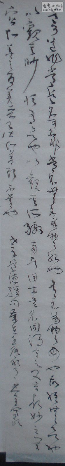 DSC09067-1.jpg