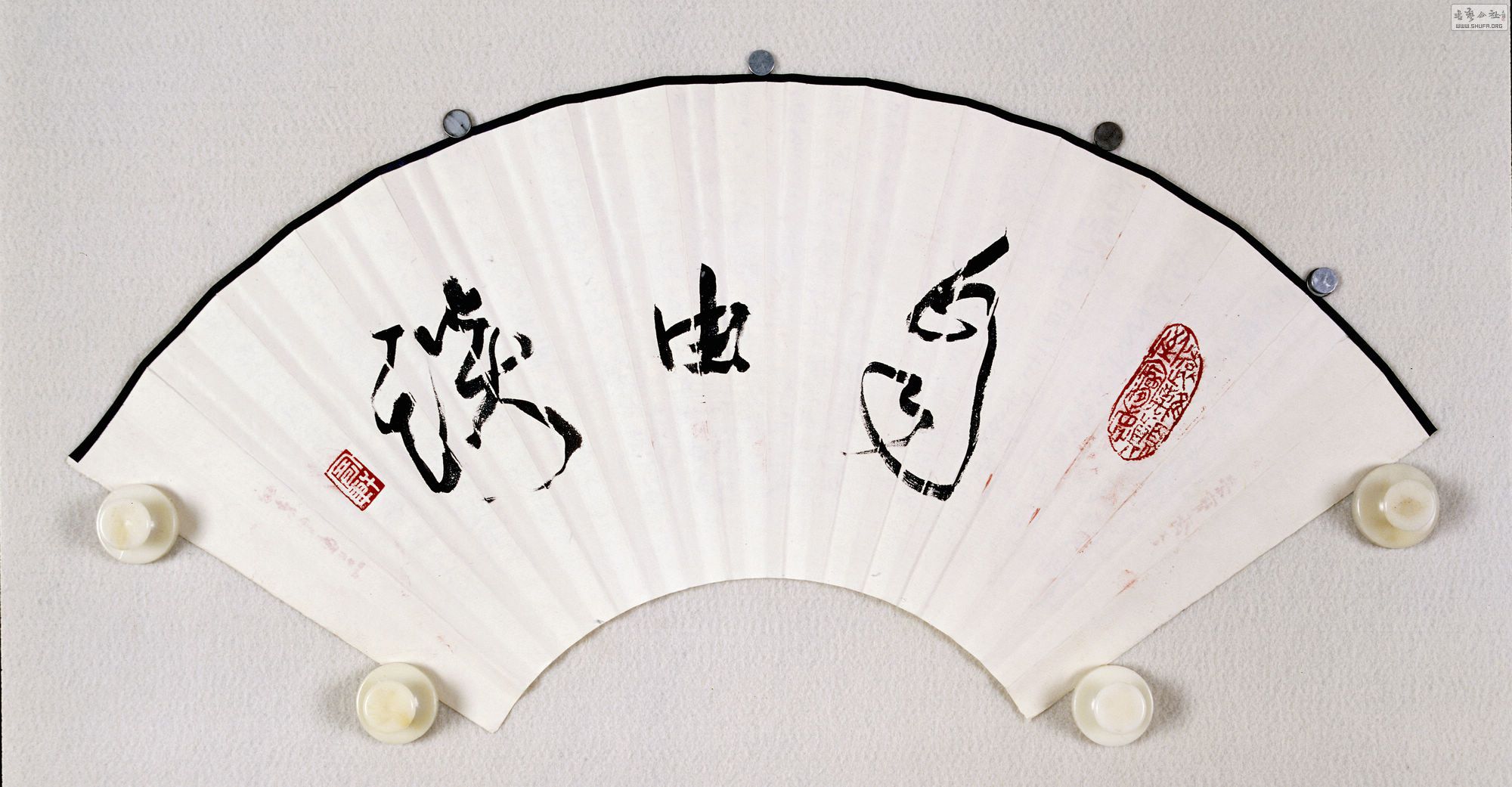 1 ⡶̸.jpg