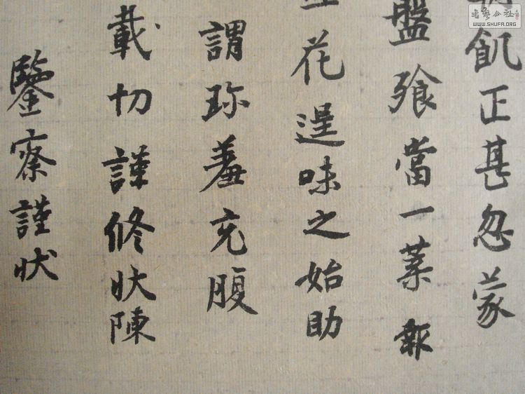 nEO_IMG_DSC08018.jpg