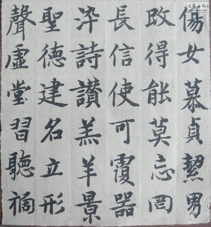 nEO_IMG_DSC08028.jpg