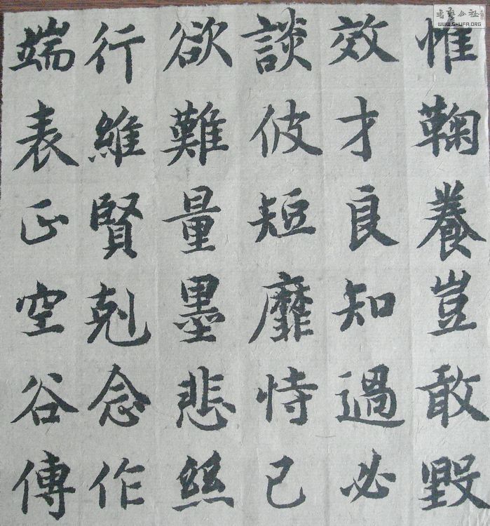 nEO_IMG_DSC08027.jpg