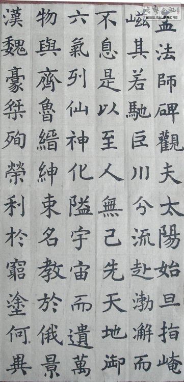 nEO_IMG_DSC08029.jpg