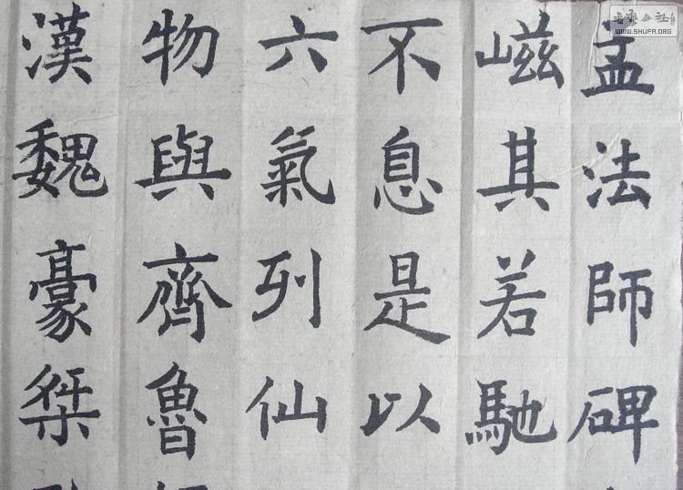 nEO_IMG_DSC08032.jpg
