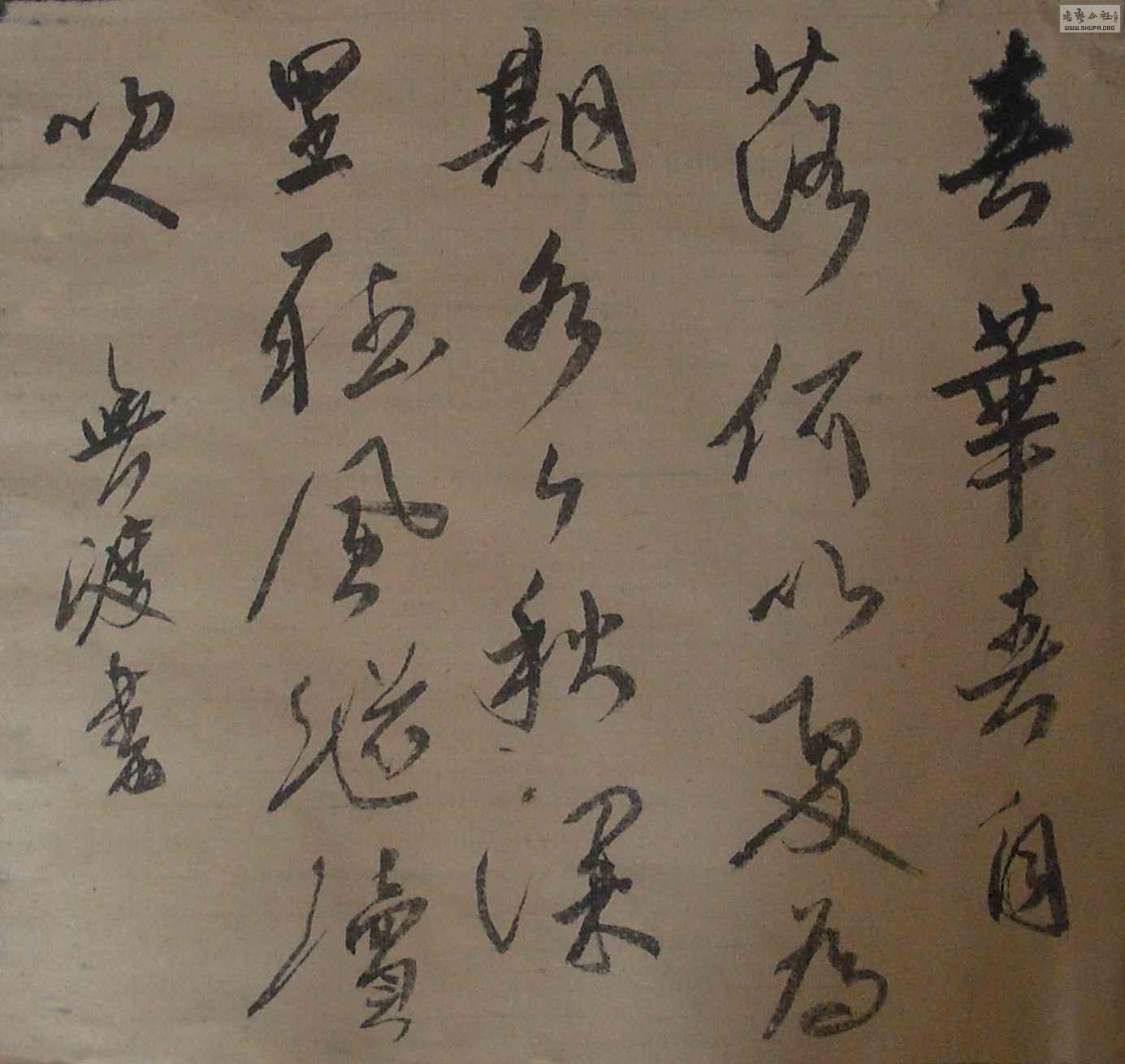 CIMG2322.JPG