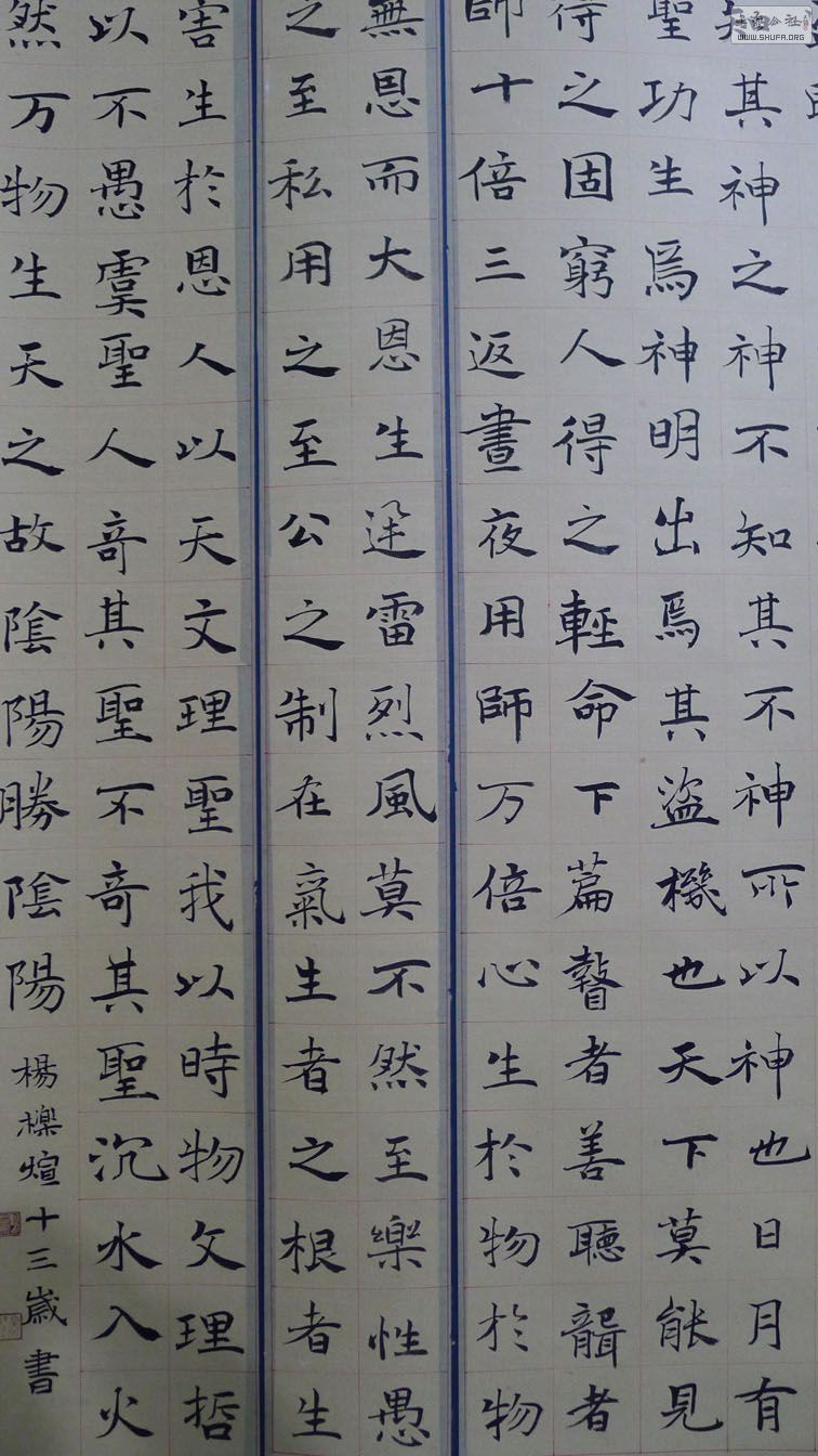 P1040373.jpg
