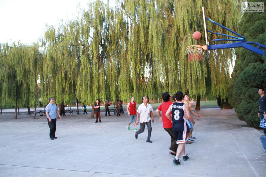 IMG_1241.jpg