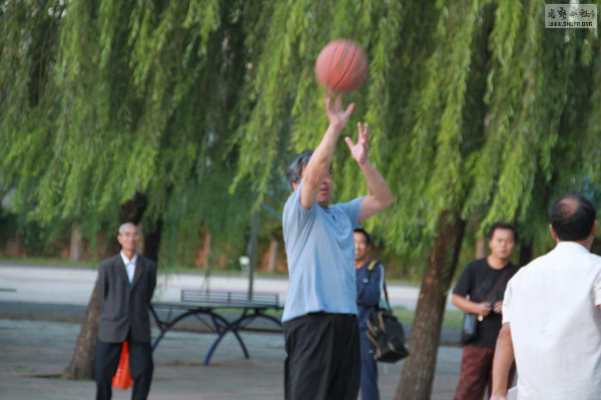 IMG_1250.jpg