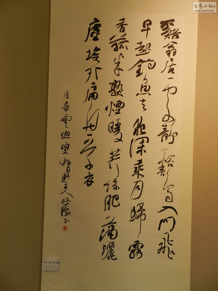 DSCN0783.JPG