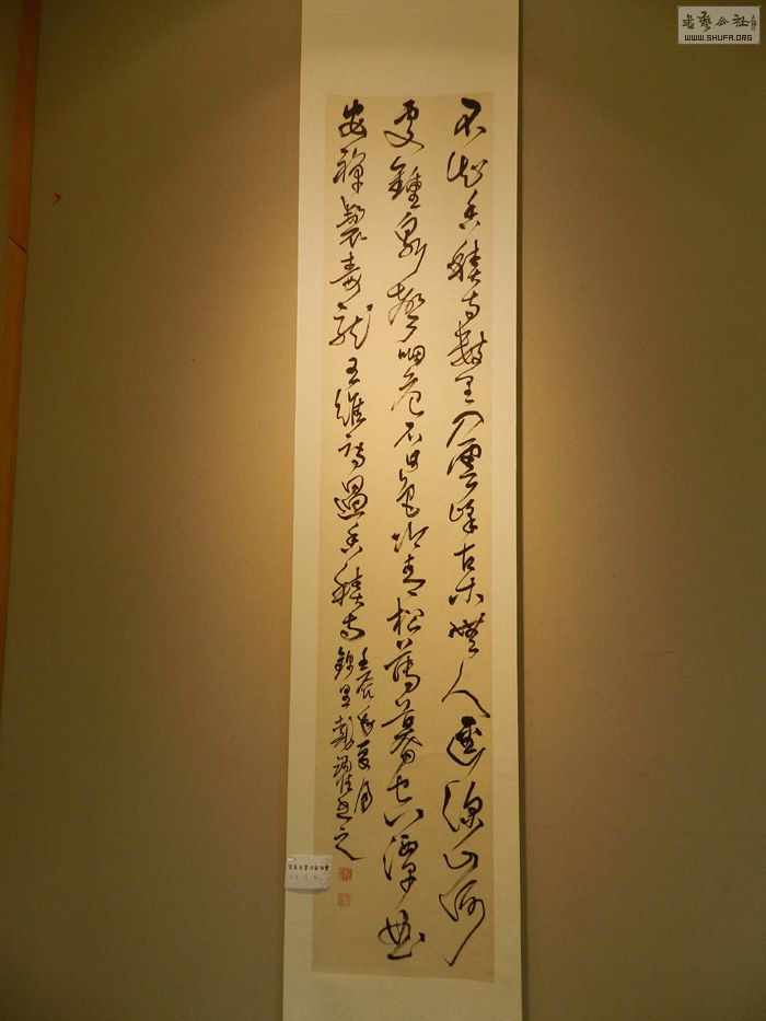DSCN0784.JPG