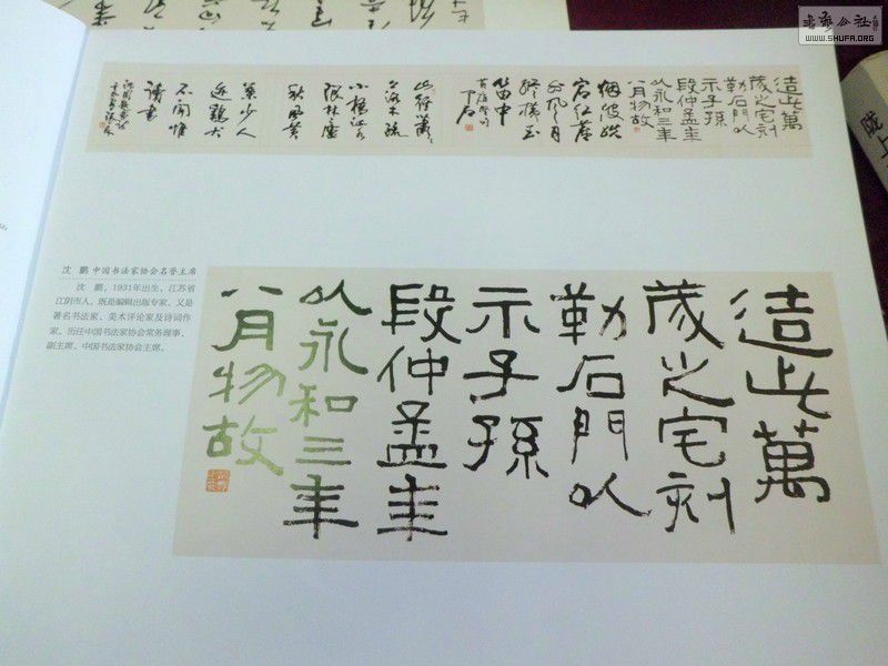 CIMG9703.JPG
