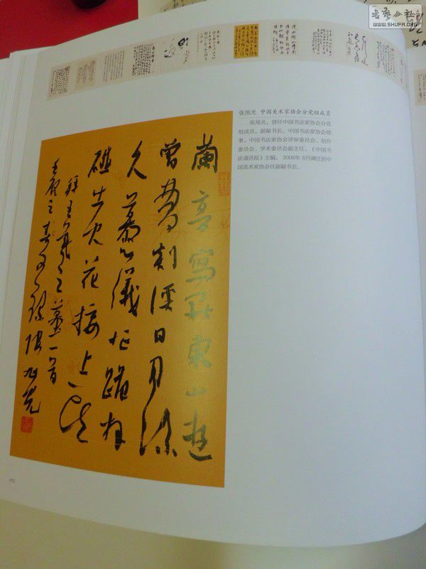 CIMG9712.JPG