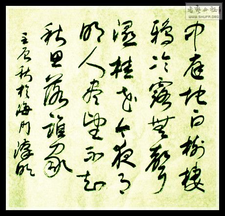 STP62027pg_.jpg