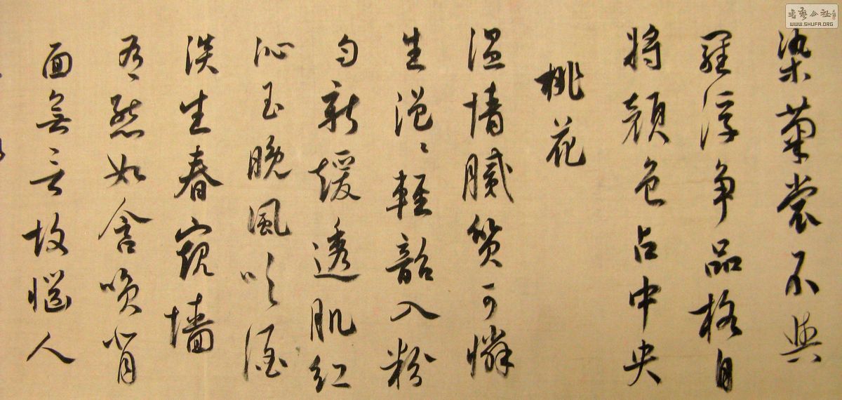 0009 004.JPG