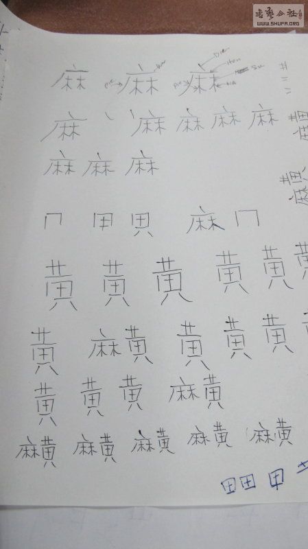 119 031_1.jpg