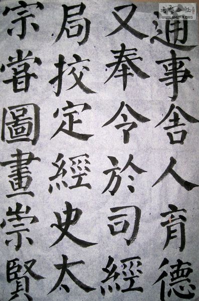IMG_3535.jpg