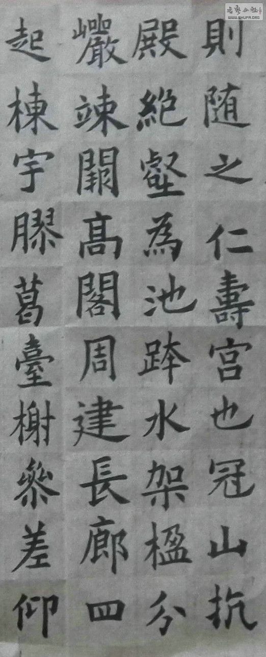 DSCF3046_1.JPG