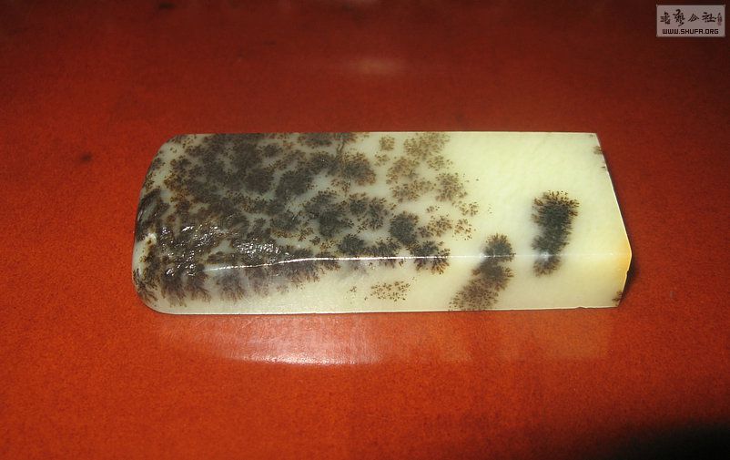 Ƭ 14891.jpg