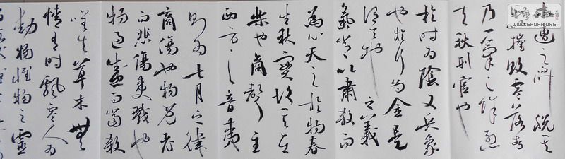 DSCN0171.jpg