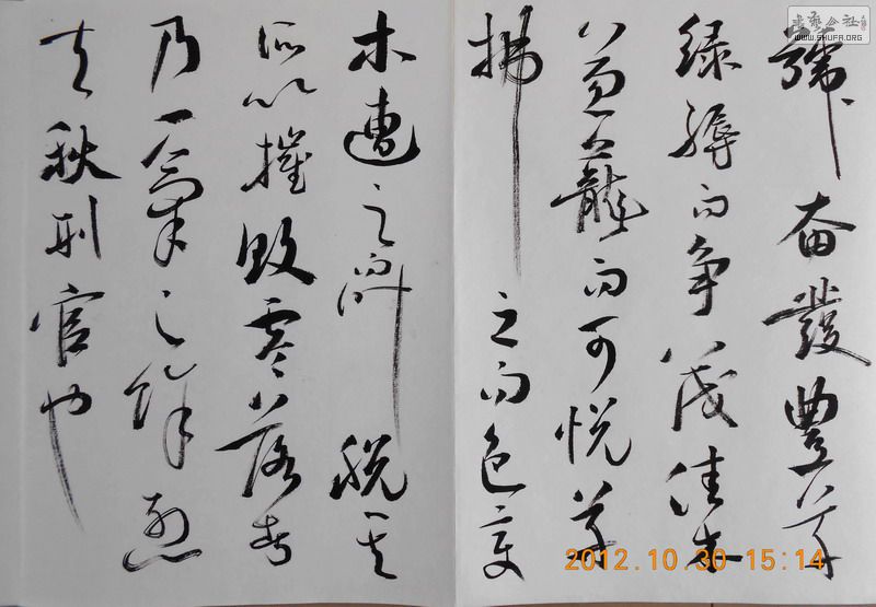 DSCN0183.jpg