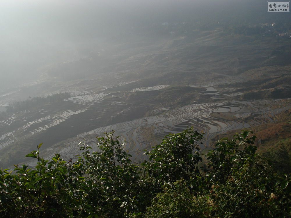 DSC00712.JPG