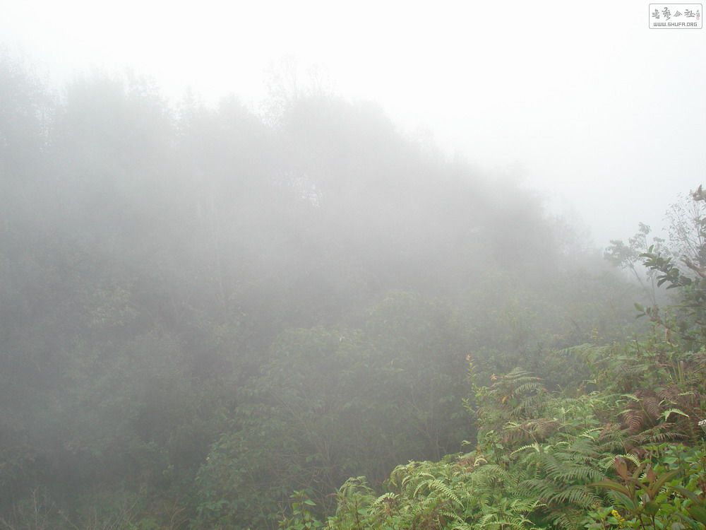 DSC00742.JPG