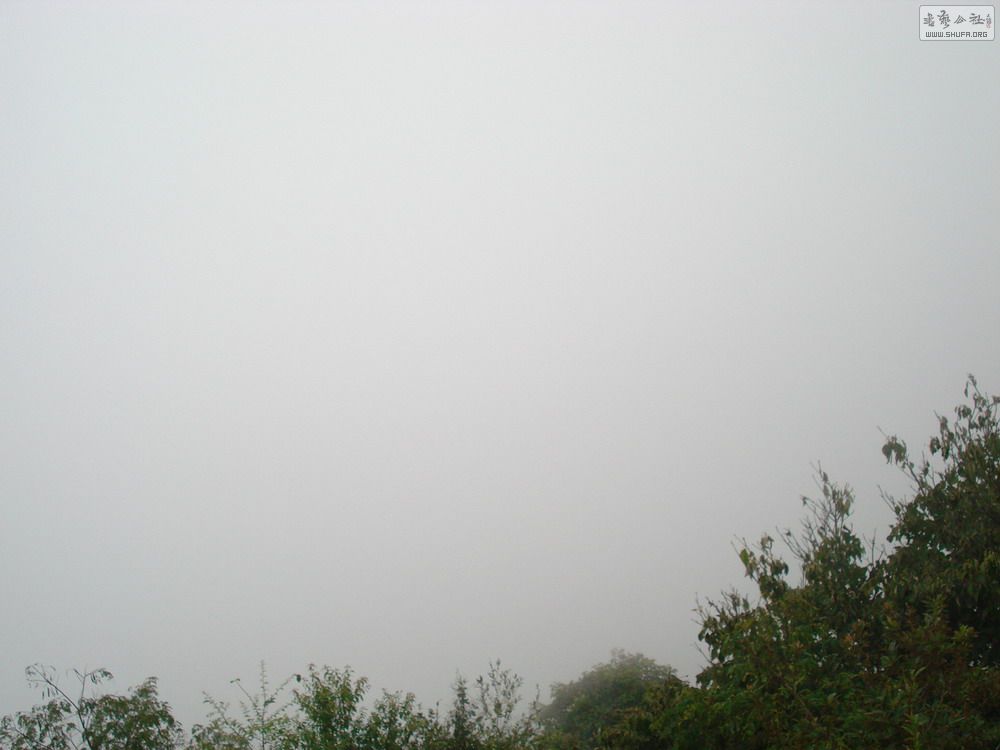 DSC00743.JPG