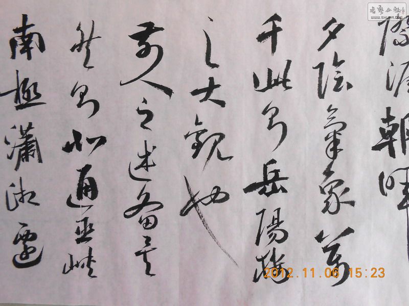 DSCN0255.jpg