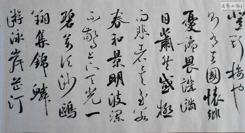 DSCN0250.jpg