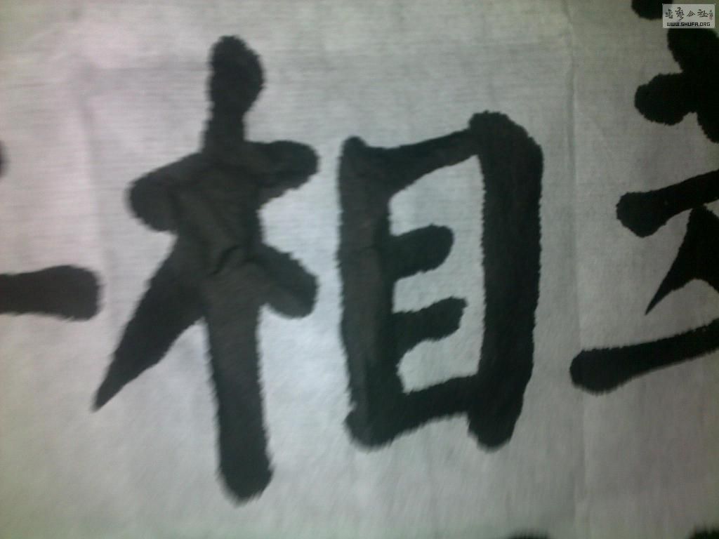 20121110044.jpg