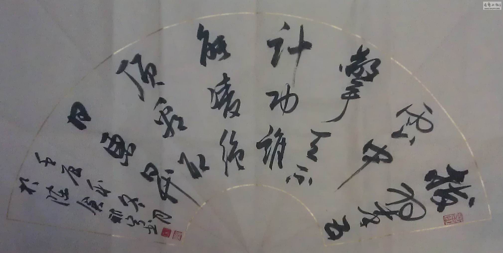 IMAG0169.jpg