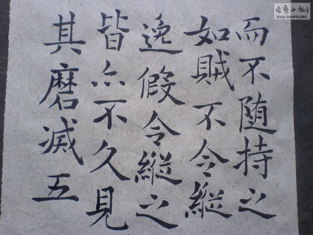 DSC01144.JPG