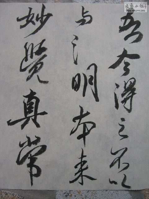 Ƭ 003.jpg