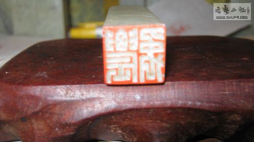 IMG_4960.jpg