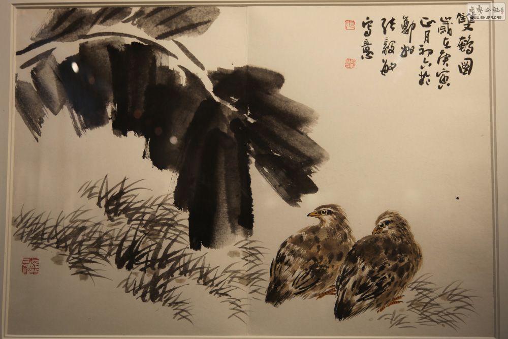 p6.jpg