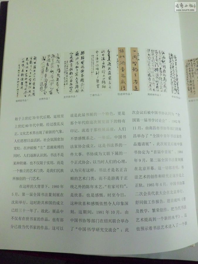 CIMG3244.JPG
